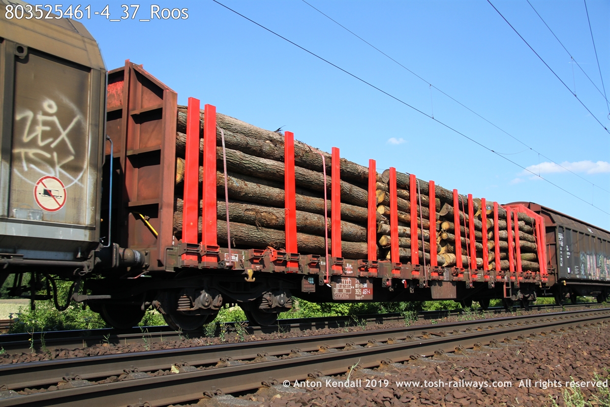 803525461-4_37_Roos.JPG